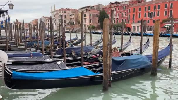 意大利威尼斯 2023年2月23日 一段冈多拉在意大利威尼斯被清洗和准备一天的录像 — 图库视频影像
