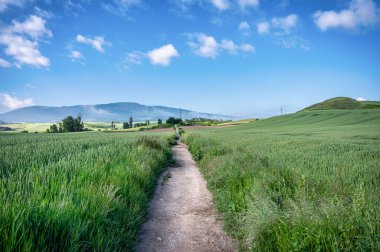 Dağlara giden Camino yolu ve Mirador Alto del Perdn..
