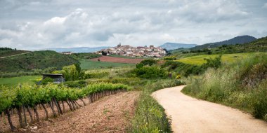 A dirt road winding through vinyards on the way to the Spanish Village of Cirauqui. This apart of the Camino Way clipart