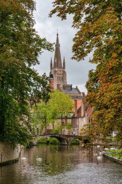 Beguinage Bridge or Begijnhofbrug in Bruges with swans and ducks swiming in the cannel. clipart