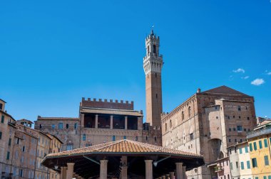 Siena, Italy- 8 Temmuz 2025 Siena 'daki Palazzo Pubblico Kulesi