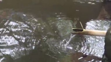 Soyut derin su sahnesi, damlayan ve akan su görüntüsü, ayrıntılı olarak parlak su dalgaları. Hareket eden su yüzeyinin makro görünümü 