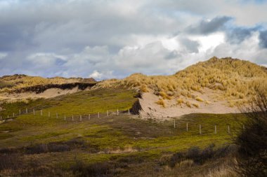 Image of the dunes on the coast of North sea, in the Katwijk, Netherlands