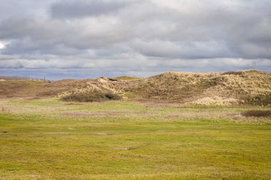 Image of the dunes on the coast of North sea, in the Katwijk, Netherlands