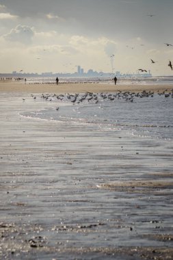 Katwijk plajından Lahey ve Scheveningen manzarası