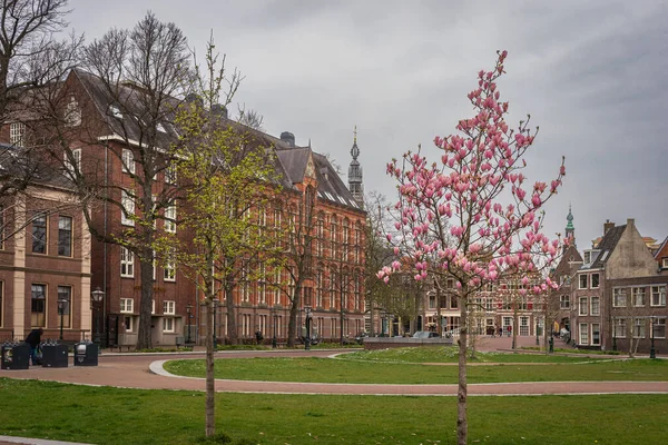 Abril 2023 Leiden Países Bajos Colorida Plaza Decorada Leiden Con —  Fotos de Stock