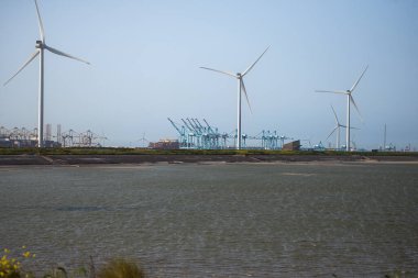 4 Haziran 2023, Rotterdam, Hollanda, Rotterdam limanının bir parçası olarak Futureland insan yapımı adasında rüzgar enerjisi türbinleri tesisleri