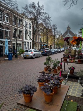 Leiden, Netherlands 10 November 2024, Street view on Hartebrug, Church and flower store clipart