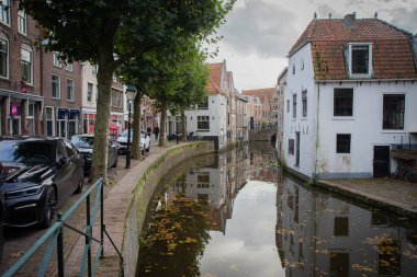 Hollanda 'daki Oudewater kanalının yüzeyinde sarı yapraklar var.