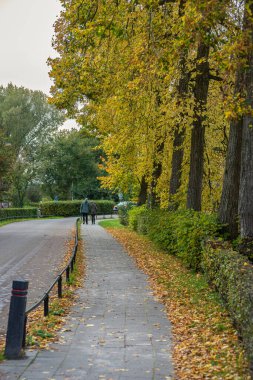 Yaşlı bir çift, Hollanda 'da nefes kesici bir ortaçağ şatosu olan Kasteel de Haar' da el ele dolaşır.. 