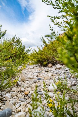 Arnavutluk 'un dağlarında otlu taşlardan yol