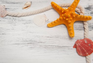 Deniz yıldızı, deniz kabuğu ve iple soyut gri arkaplan