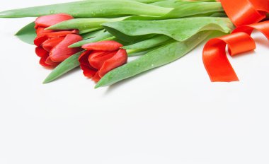 Kırmızı kurdeleli beyaz arkaplanda tulip