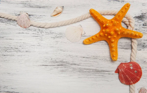 Fondo Náutico Gris Abstracto Con Estrellas Mar Conchas Cuerda — Foto de Stock