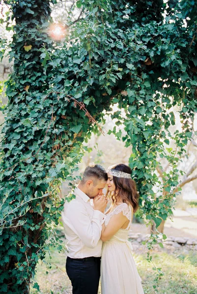 Vőlegény Megcsókolja Menyasszony Kezét Amint Egy Borostyánnal Borított Alatt Áll — Stock Fotó
