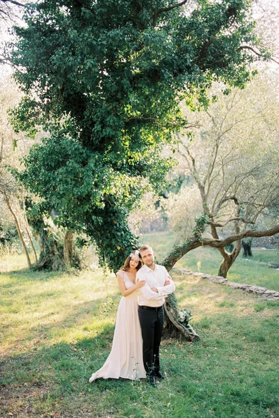 新娘和新郎站在一棵被常春藤覆盖的树旁的空地上 高质量的照片 — 图库照片