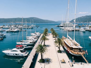 Tiled pier lined with palm trees with luxury yachts moored on either side. High quality photo