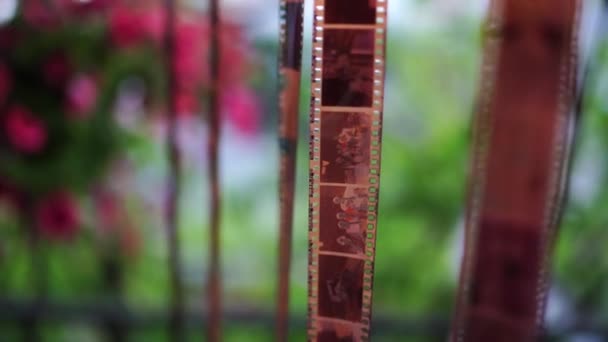 Developed Film Dries Balcony Close High Quality Footage — Stok video