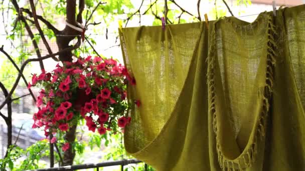 Tenceredeki Pembe Petunya Balkondaki Bir Ipte Yeşil Bir Yatak Örtüsünün — Stok video