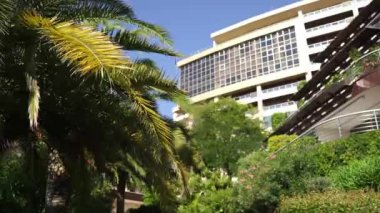 Green palm trees grow in the garden next to the Dukley hotel. Montenegro. High quality FullHD footage