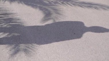 Male silhouette next to the shadow of a palm leaf on the asphalt. High quality FullHD footage