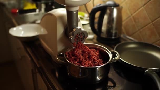 Pot Minced Meat Stands Electric Meat Grinder Table Kitchen High — Vídeos de Stock