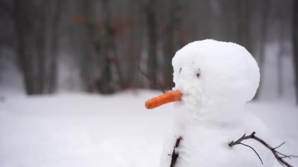 公园里站着一个长着胡萝卜鼻子的雪人 高质量的4K镜头 — 图库视频影像