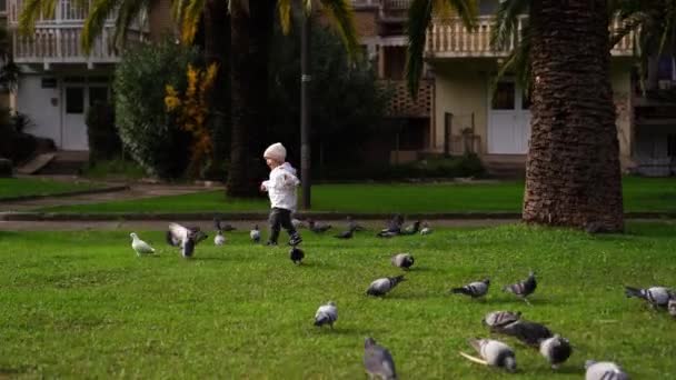 Little Girl Chasing Pigeons Green Grass Yard Multi Storey Building — Stockvideo