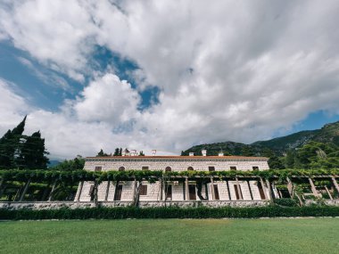 Pergola covered with green ivy near Villa Milocer against a cloudy sky. High quality photo