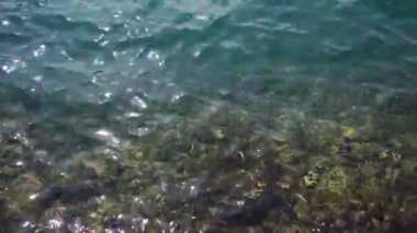 Transparent sea waves roll on the stones. High quality FullHD footage