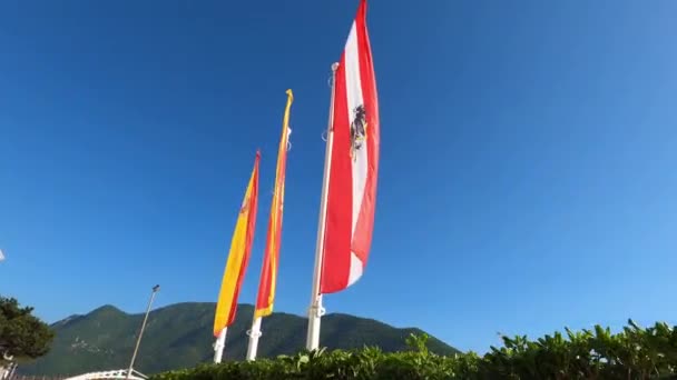 Kleurrijke Vlaggen Wapperen Vlaggenmasten Een Close Hoge Kwaliteit Beeldmateriaal — Stockvideo