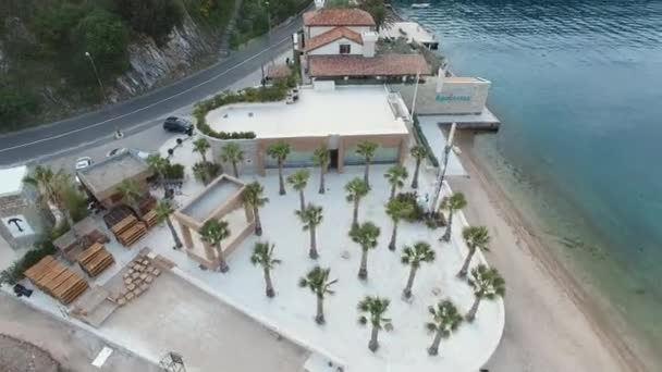 Palmiers Verts Sur Plage Près Hôtel Bord Mer Drone Images — Video