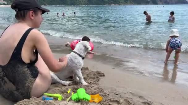 Woman Pets Dog Beach Her Daughter Plays Nearby High Quality — Wideo stockowe