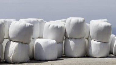 White bales stacked in a row on the ground. High quality 4k footage