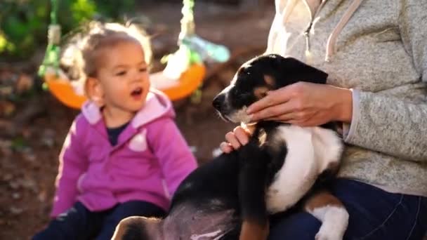 Mom Petting Puppy While Sitting Next Her Little Daughter Ground — Stok video
