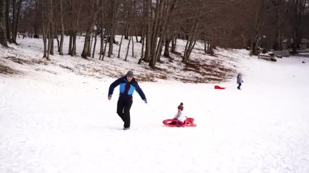 Dad Takes Little Girl Snow Sled High Quality Footage — Stock Video