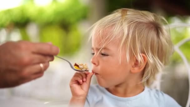 Little Girl Being Spoon Fed Muesli High Quality Footage — Stock video