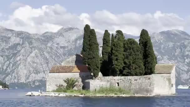 Tall Green Cypresses Grow Island George Old Monastery Montenegro High — Vídeos de Stock