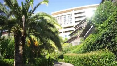 Green garden near Dukley hotel. Montenegro. High quality FullHD footage