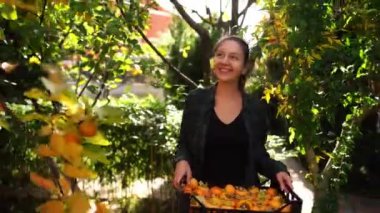 Smiling young woman with a box of persimmons walking through the garden. High quality 4k footage