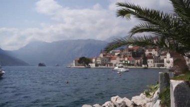 View through palm leaves on Perast on the shore of the Bay of Kotor. High quality FullHD footage