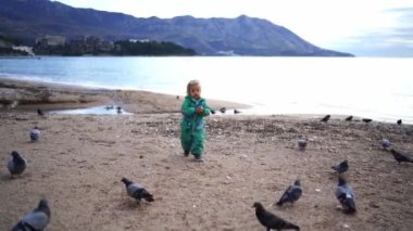 Küçük kız deniz kıyısındaki güvercinlere tahıl atıyor. Yüksek kalite 4k görüntü