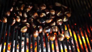 Smoke curls over chestnuts roasted on the grill over the fire. High quality 4k footage