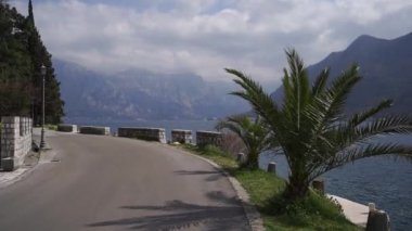 Asfalt yolun yanındaki taş çitin yanında, deniz kıyısında yeşil palmiye ağaçları yetişir. Yüksek kaliteli FullHD görüntüler