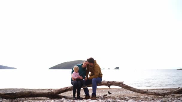Mom Dad Little Girl Sitting Snag Beach Sea High Quality — Video