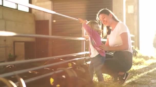 Mom Little Girl Watch Goats Eat Hay Paddock High Quality — Vídeos de Stock