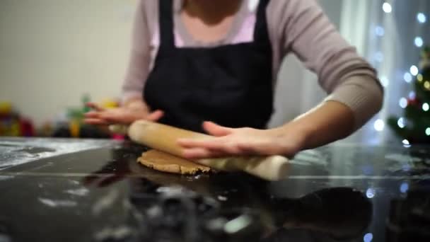 Woman Rolling Out Dough Making Christmas Cookies High Quality Footage — 비디오
