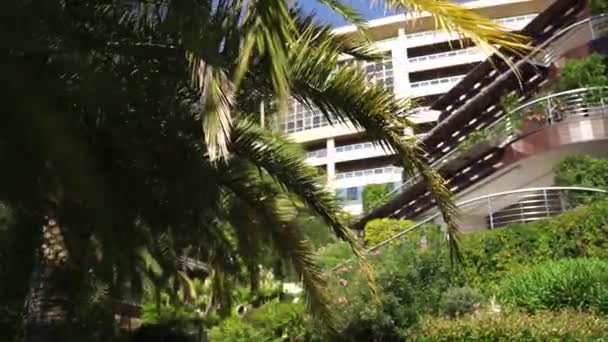 Uitzicht Dukley Hotel Door Groene Palmtakken Hoge Kwaliteit Fullhd Beeldmateriaal — Stockvideo