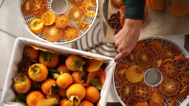 Woman Stacks Fruit Dryer Trays Pieces Persimmon Top Each Other — ストック動画