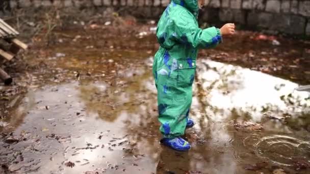 Little Girl Overalls Rubber Boots Stands Puddle Throws Pebbles High — Stockvideo